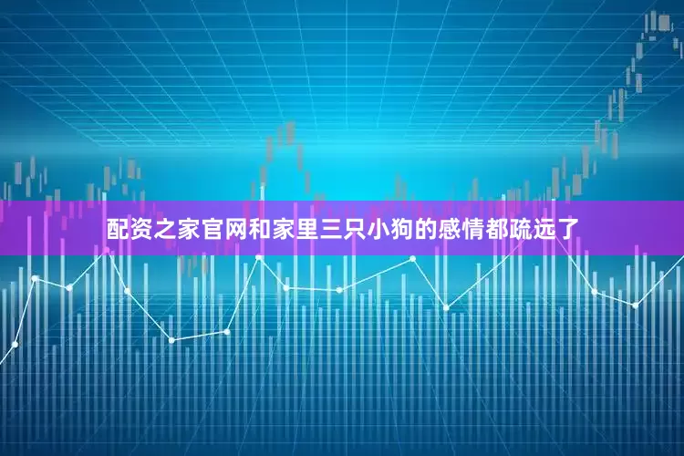 配资之家官网和家里三只小狗的感情都疏远了