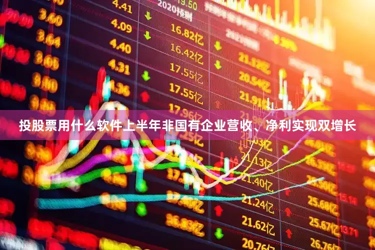 投股票用什么软件上半年非国有企业营收、净利实现双增长