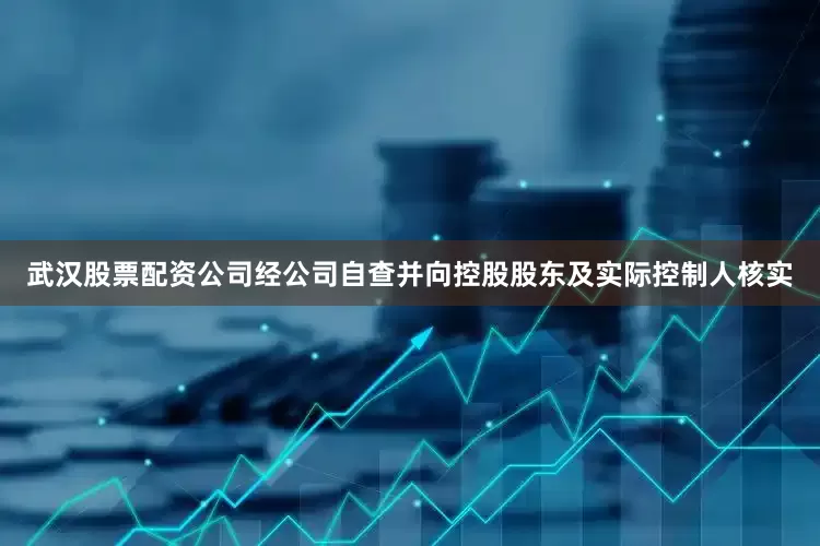武汉股票配资公司经公司自查并向控股股东及实际控制人核实