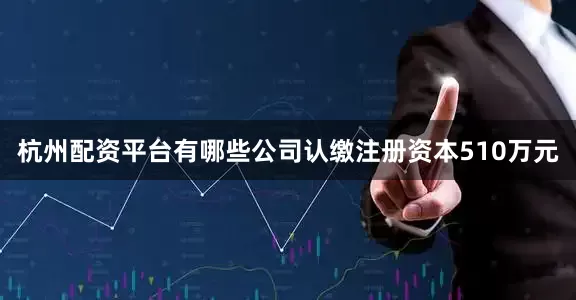 杭州配资平台有哪些公司认缴注册资本510万元